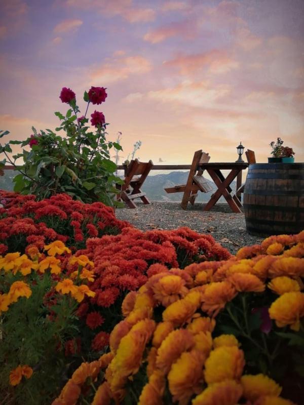 Camp Oaza,Lipa Hotel Цетине Екстериор снимка
