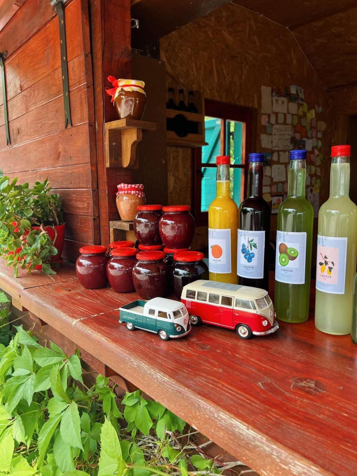 Camp Oaza,Lipa Hotel Цетине Екстериор снимка