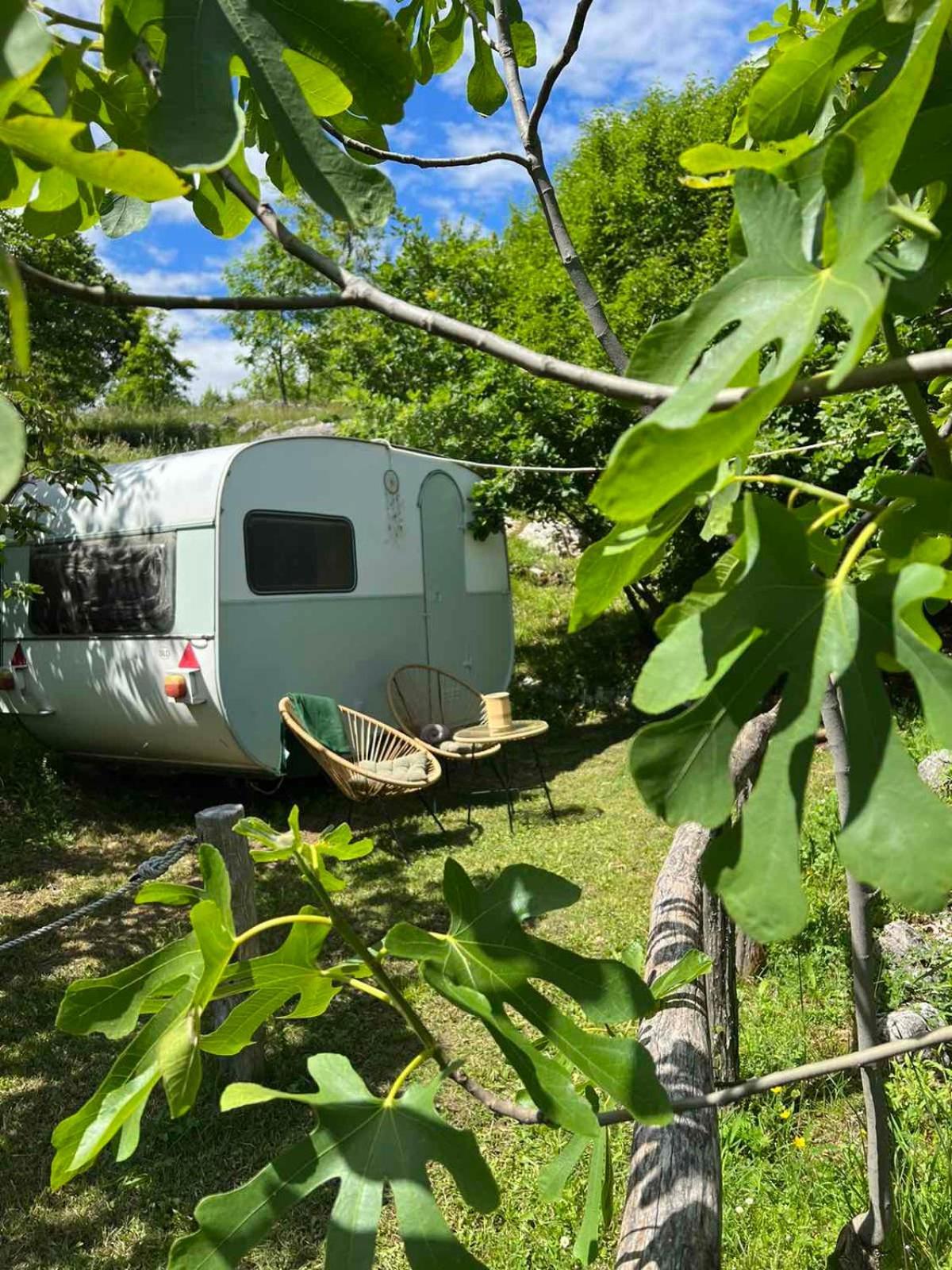 Camp Oaza,Lipa Hotel Цетине Екстериор снимка