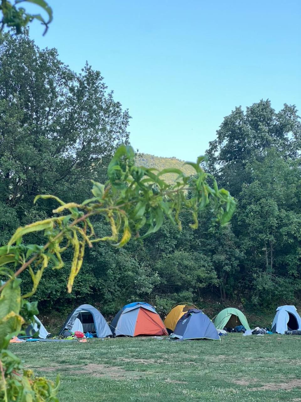 Camp Oaza,Lipa Hotel Цетине Стая снимка